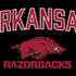 University of Arkansas-Fayetteville Razorbacks Black Nintendo 2DS XL (2017) Skin